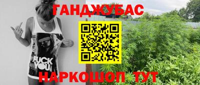 сатива Кулебаки
