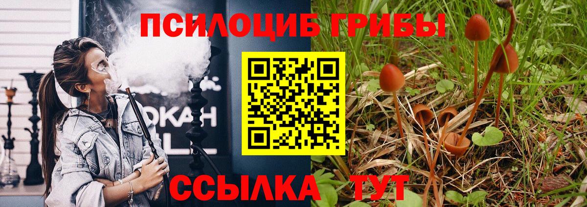 Уссурийск  Псилоцибиновые грибы Psilocybe  Галлюциногенные грибы мухоморы  Вход с VPN 